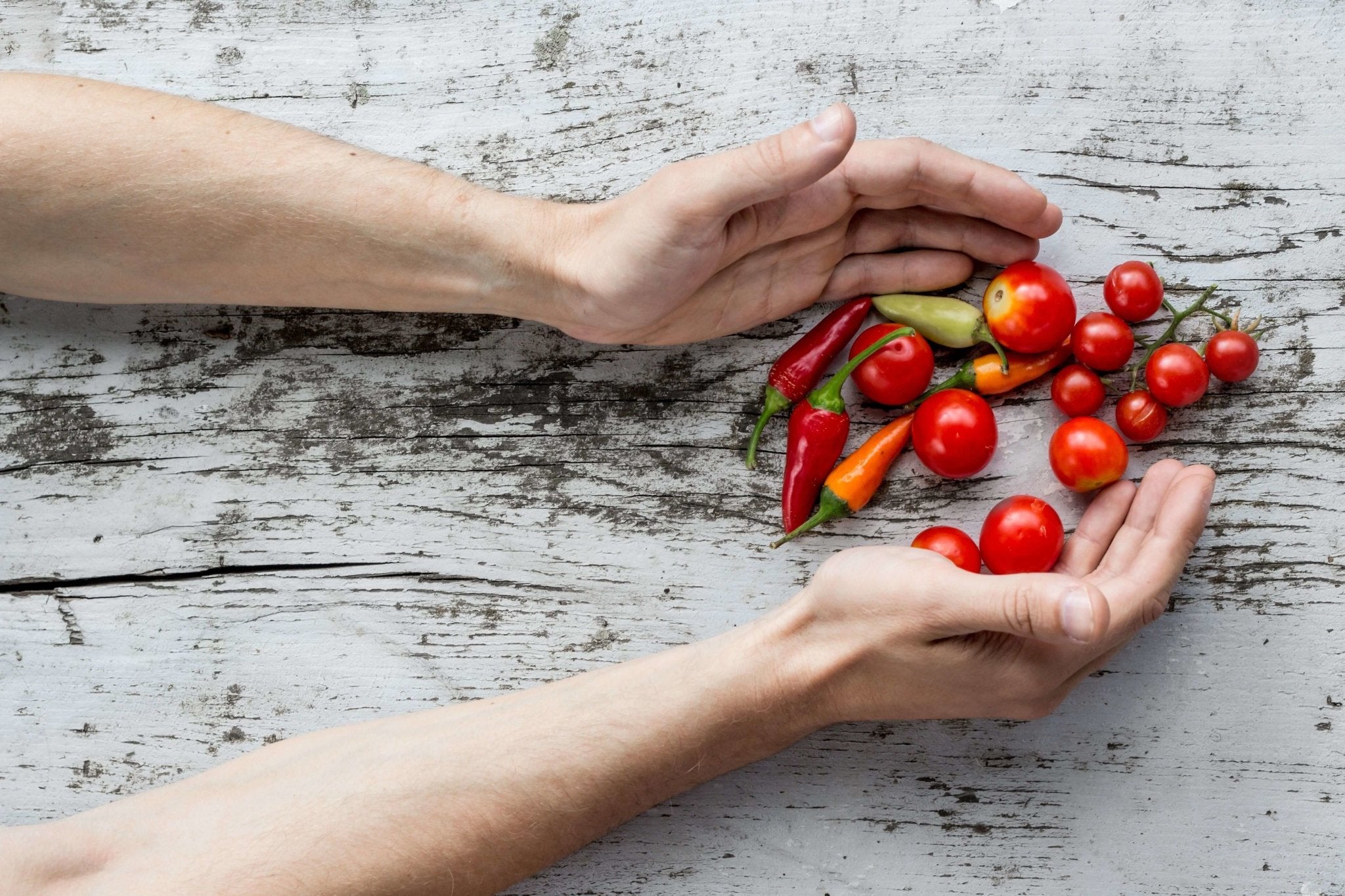 10 Steps to Indoor Gardening for Beginners - Happy Hydro