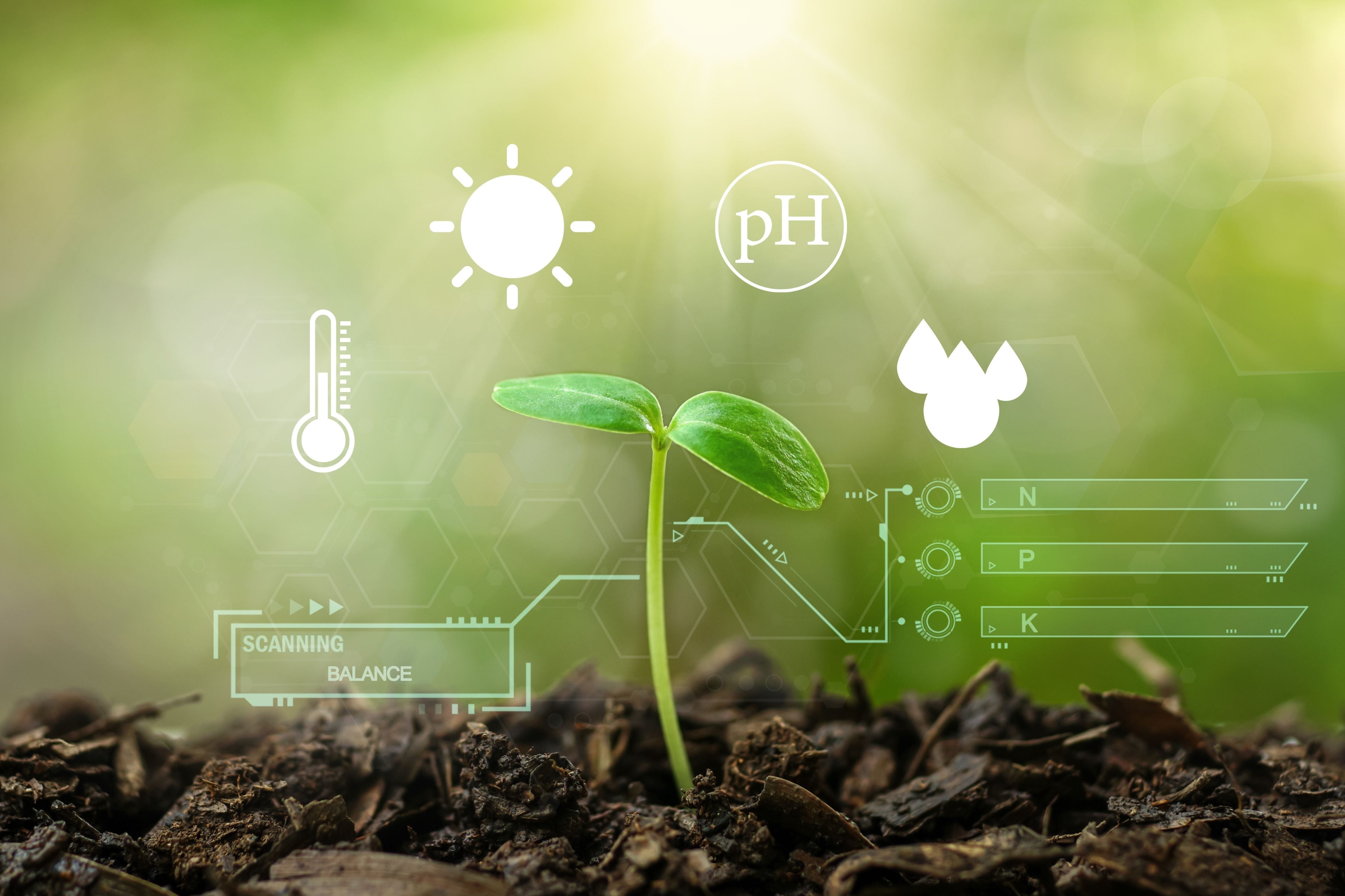 the intricate balance of soil pH and plants