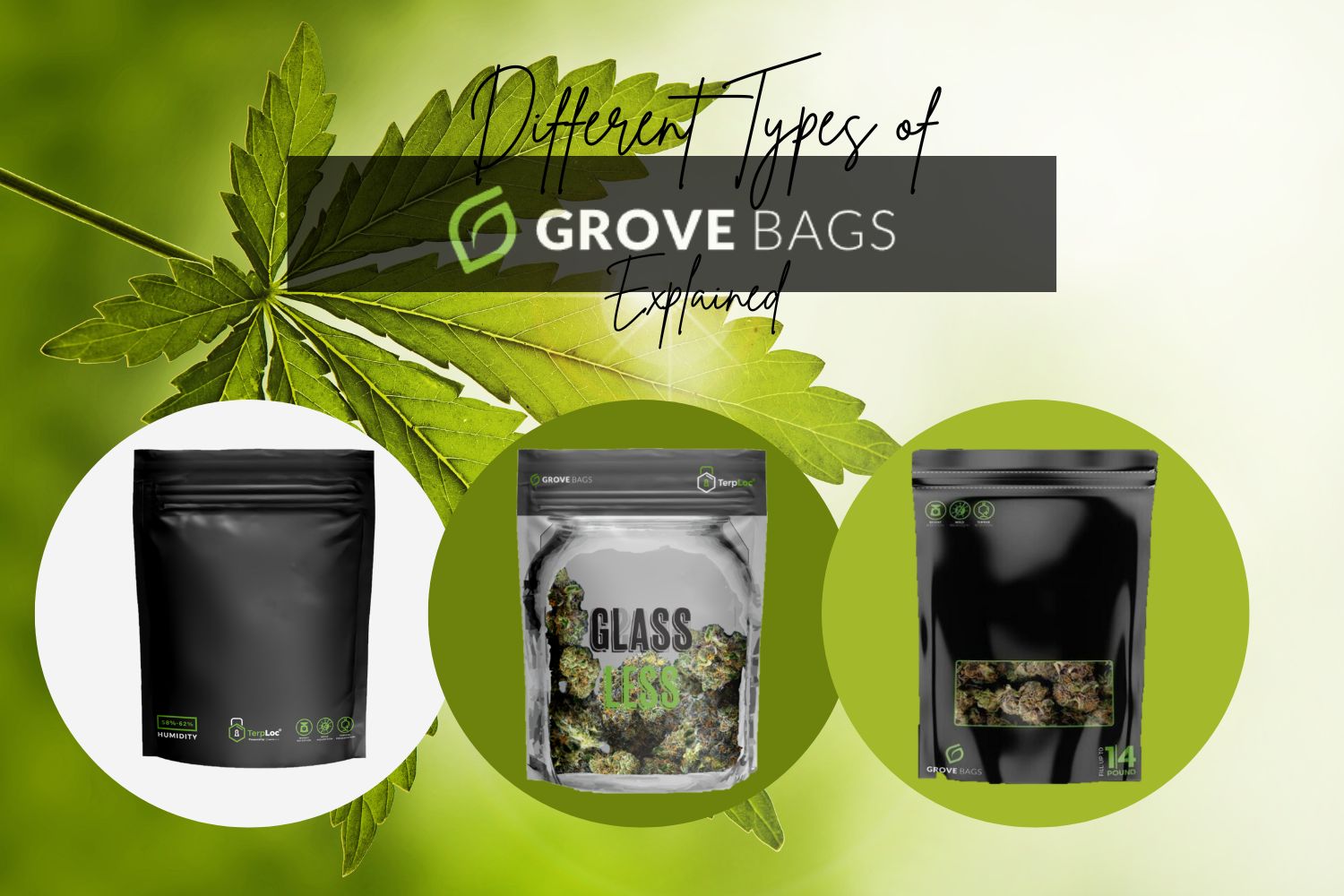 Different Types of Grove Bags