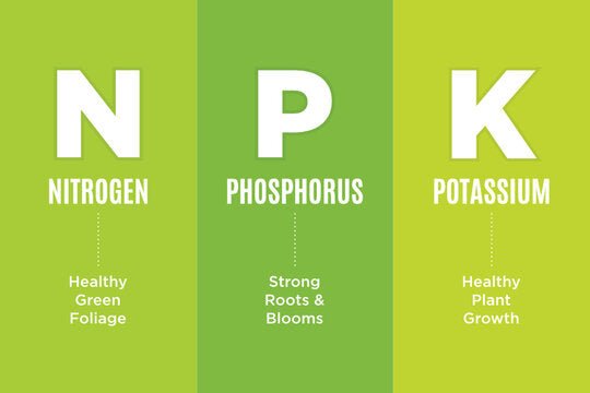 How Do Different Nutrients Affect Plant Growth? - Happy Hydro