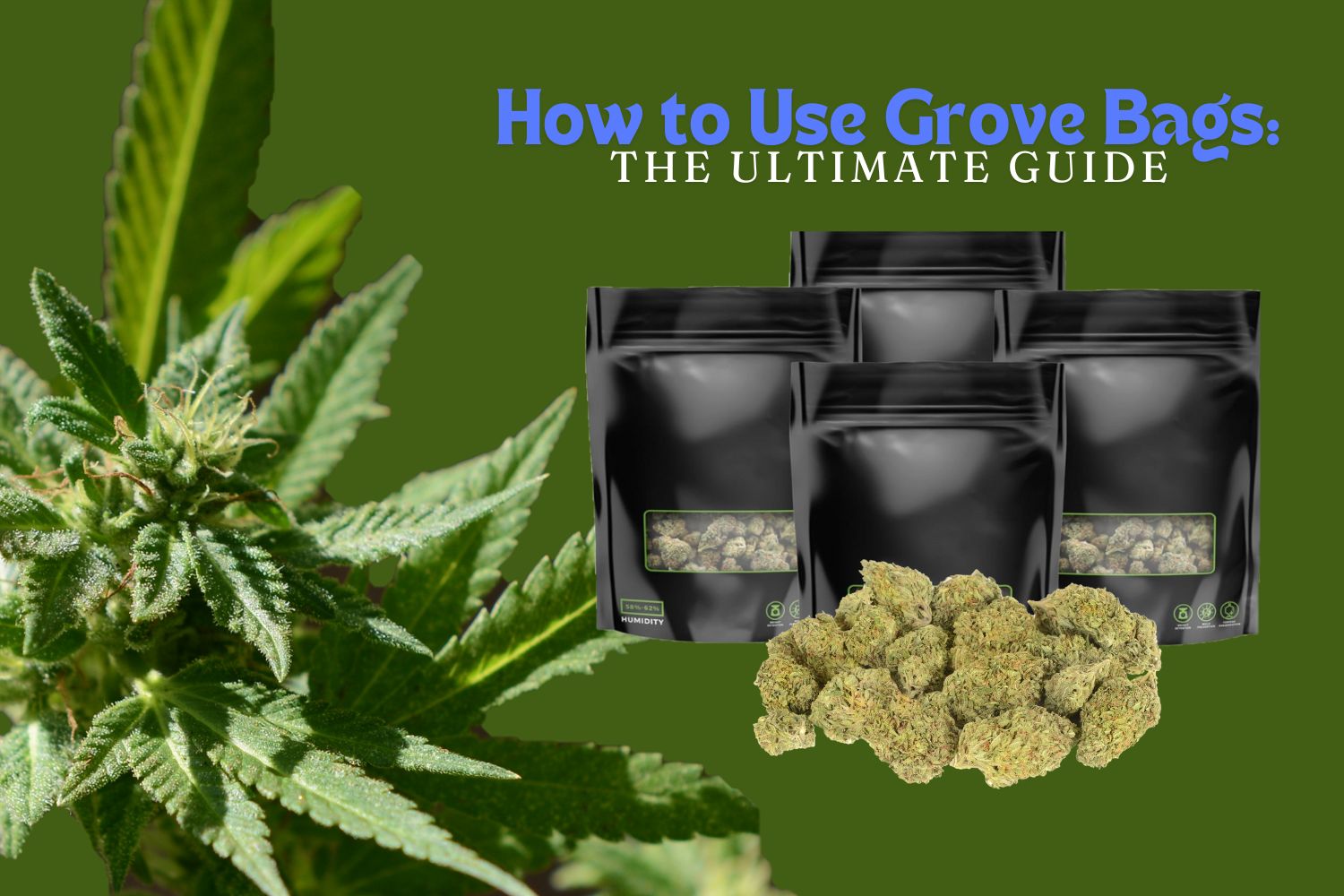 How to Use Grove Bags The Ultimate Guide