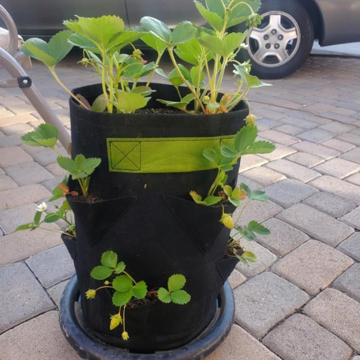 Strawberry Fabric Pots with Handles and 7 Mini Pockets