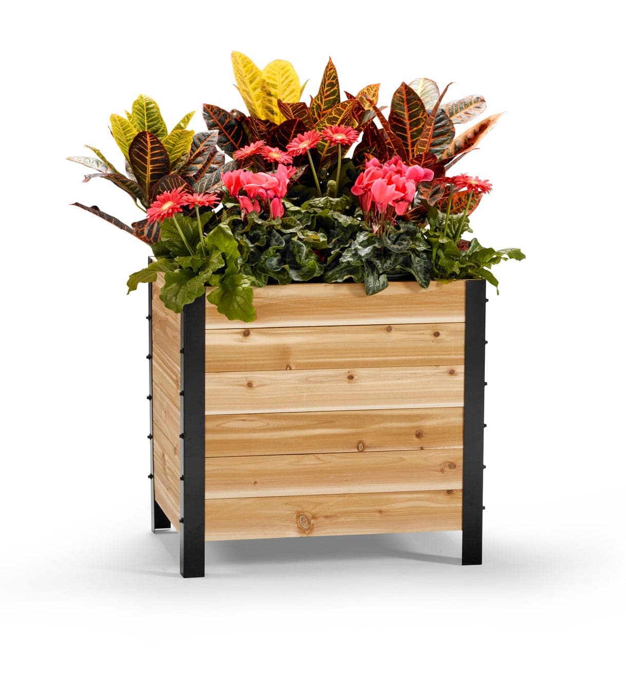 18" x 24" Planter Box - 24" Tall