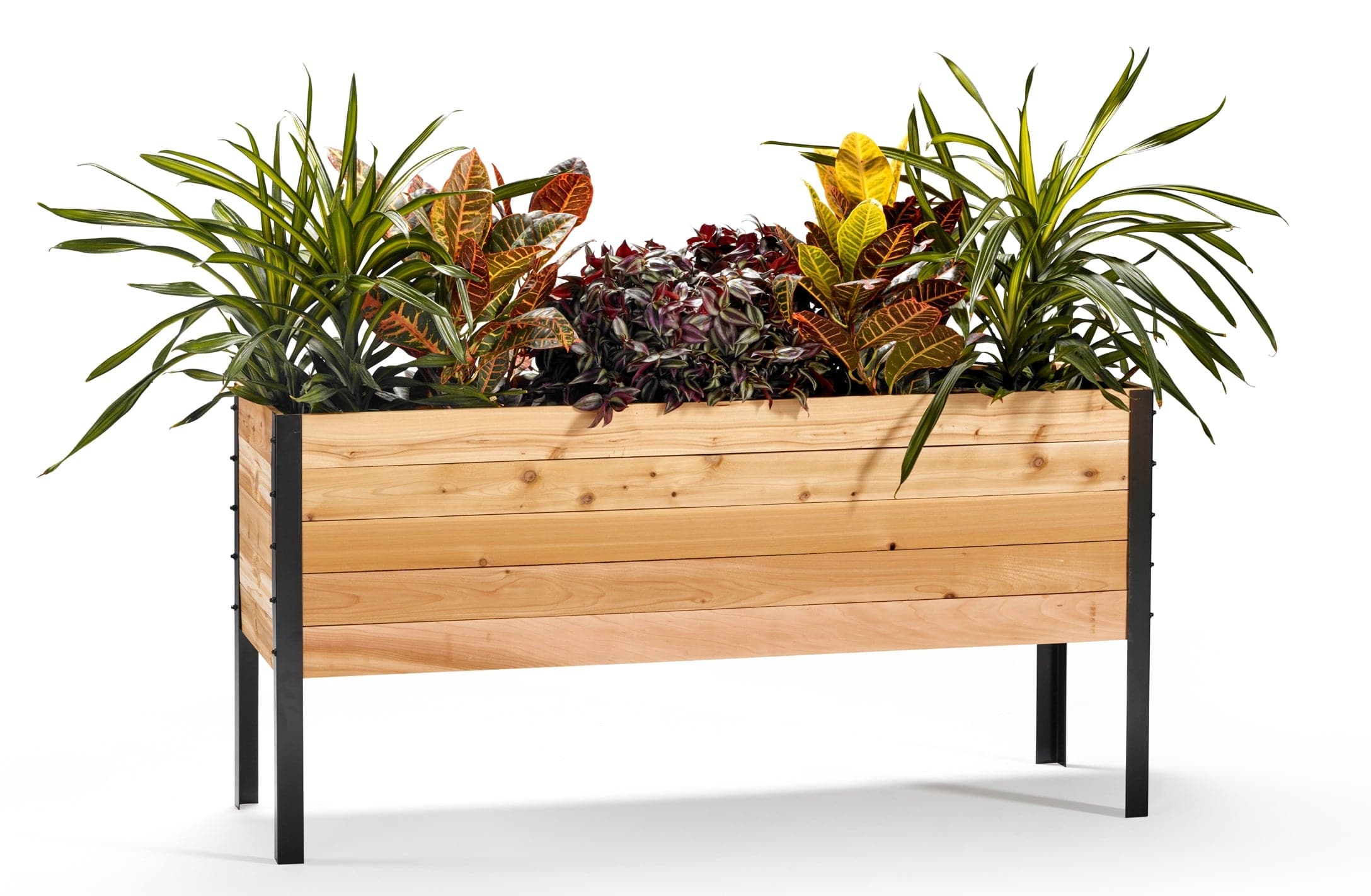 18" x 60" Raised Garden Bed