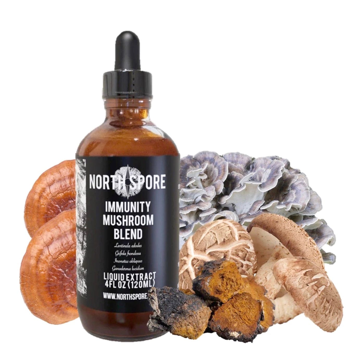 Immunity Mushroom Blend Tincture