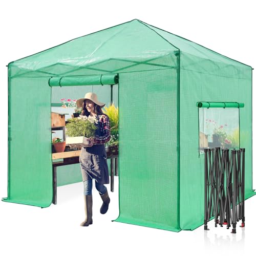 Eagle Peak Greenhouse – Perfect for Home Growers | 10x10 ft