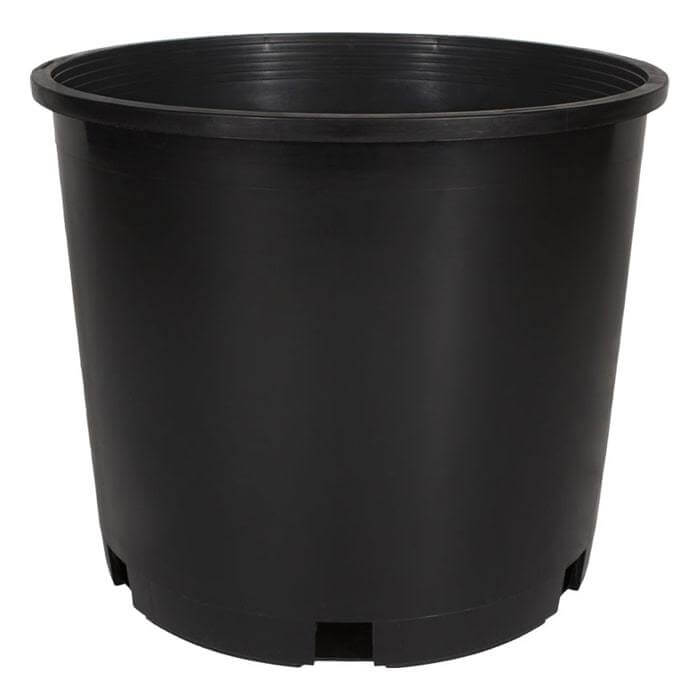 5 Gallon Premium Squat Injection Nursery Pot (5-Pack) - Happy Hydro - Happy Hydro