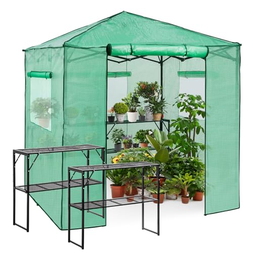 Eagle Peak 7x7 Pop up Greenhouse with 2 Foldable Shelves - Green