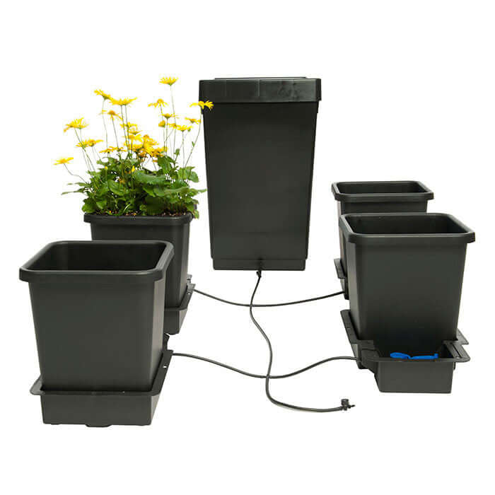 Happy Hydro Grow Tent Kit with AutoPots, 4-Plant, 4’ x 4’ x 6’8