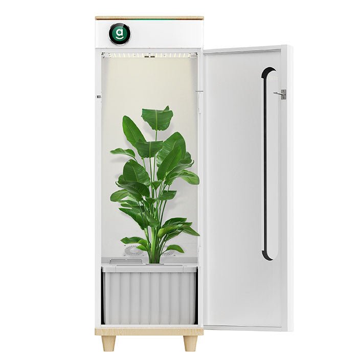 Hey Abby Automated Hydroponic Grow Box - Hey Abby - Happy Hydro