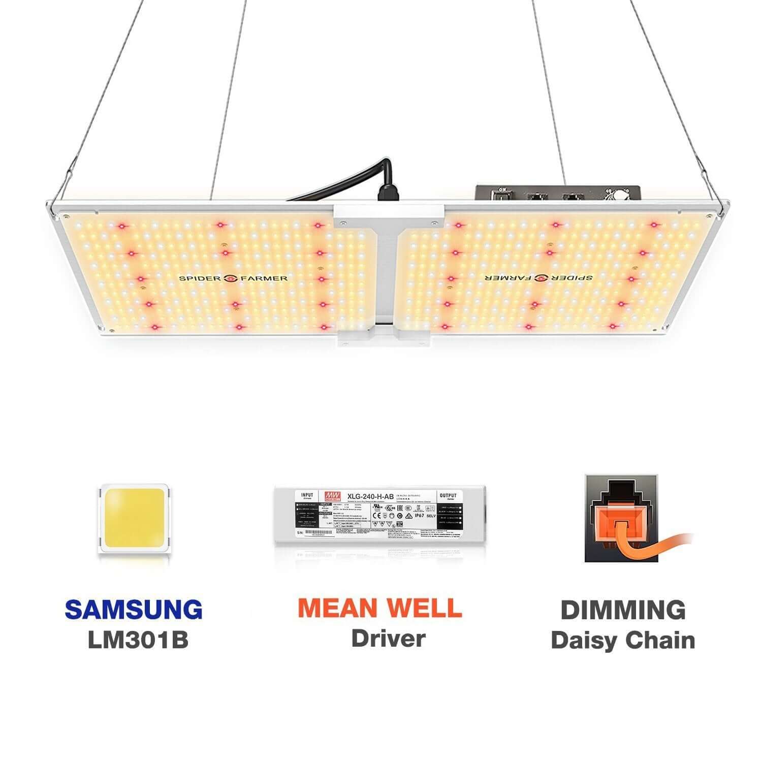 The Essentials' Grow Kit Spider Farmer LED AC Infinity Tent & Ventilation 2’ x 4’ - Happy Hydro - Happy Hydro